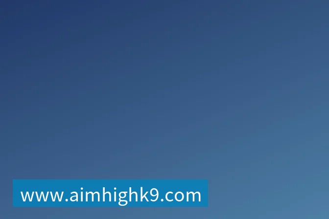 九游体育法国3人！上半区法摩西比均有皇马球员，皇马球员已锁定决赛门票