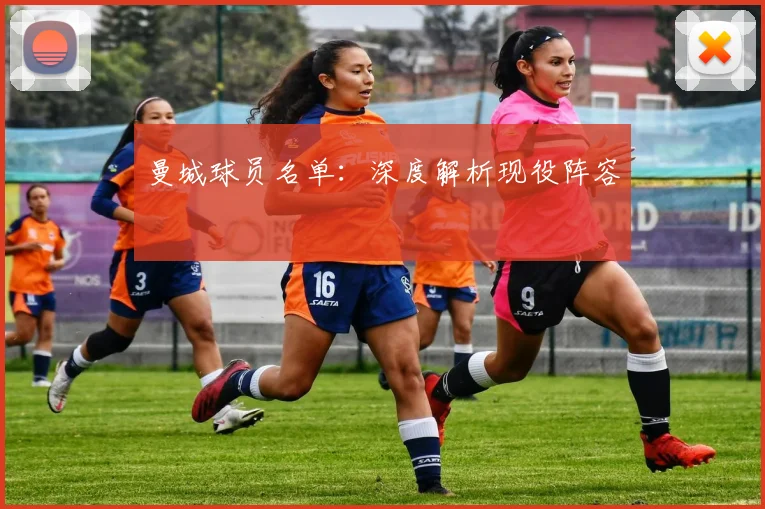 意甲规则解读：VAR与财政公平法案的影响